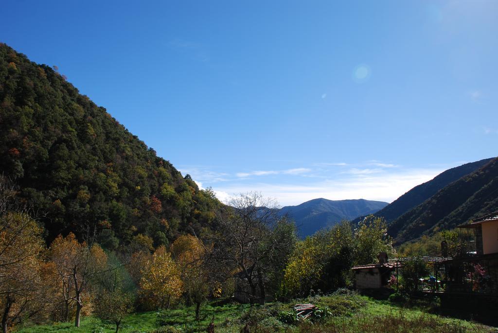 To Greki Livartzi Exterior foto