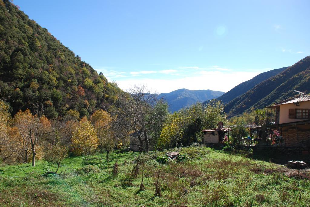 To Greki Livartzi Exterior foto